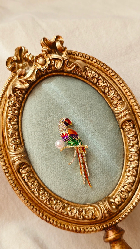 گلسینه طوطی هفت رنگ (سایز۲)