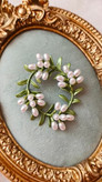 گلسینه حلقه زیتون مروارید
